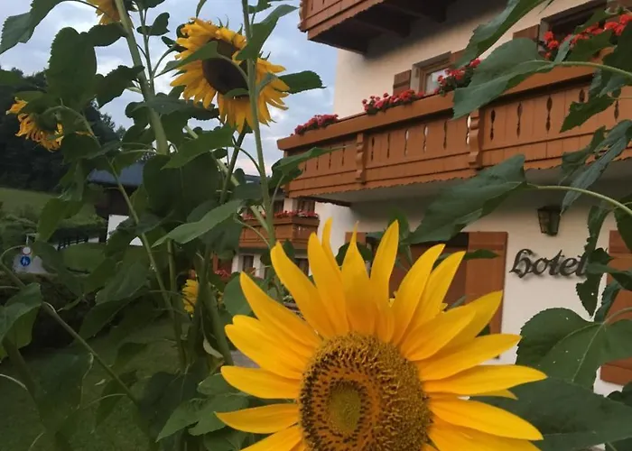 Weiherbach - Hallenbad 아파트