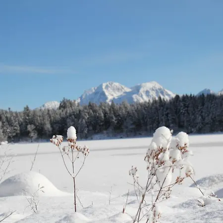 Lägenhet Weiherbach - Hallenbad *