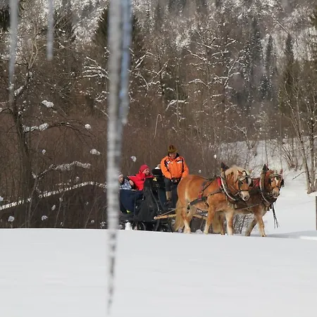 Weiherbach - Hallenbad Lägenhet Berchtesgaden