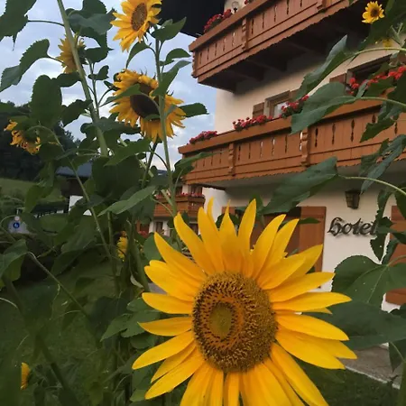 Weiherbach - Hallenbad Apartment